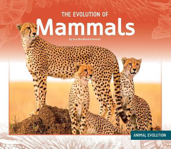 Cover image for The Evolution of Mammals