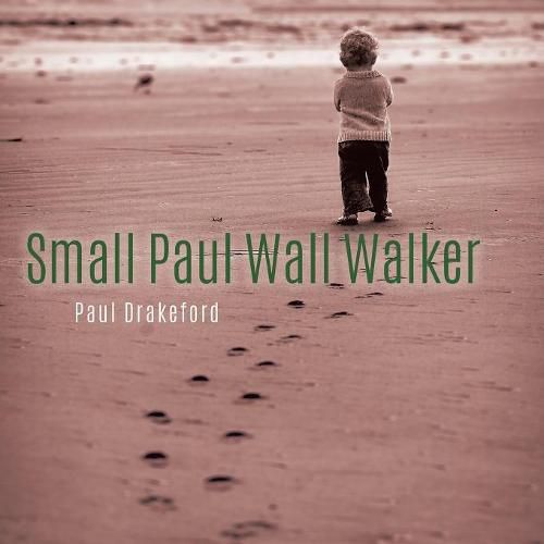 Small Paul Wall Walker