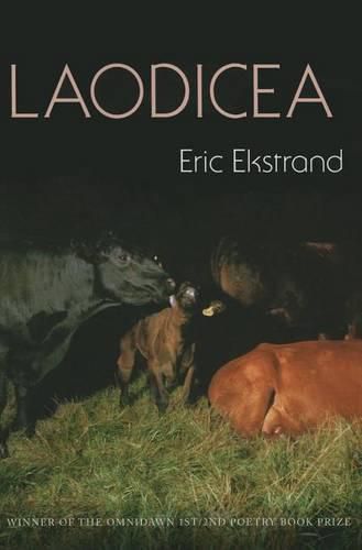 Cover image for Laodicea