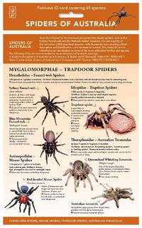Cover image for Spiders of Australia