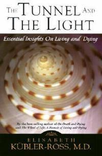 Cover image for Tunnel and the Light