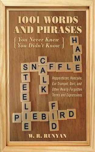 Cover image for 1,001 Words and Phrases You Never Knew You Didn't Know: Hopperdozer, Hoecake, Ear Trumpet, Dort, and Other Nearly Forgotten Terms and Expressions