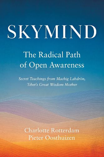 Cover image for Skymind