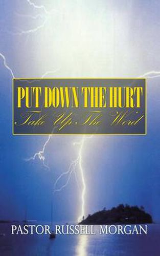 Cover image for Put Down the Hurt