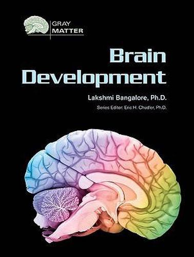 Brain Development