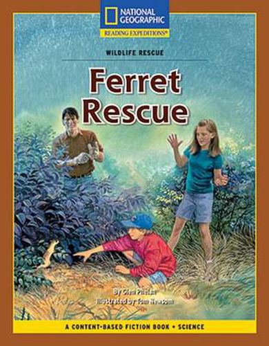 Cover image for Content-Based Chapter Books Fiction (Science: Wildlife Rescue): Ferret Rescue