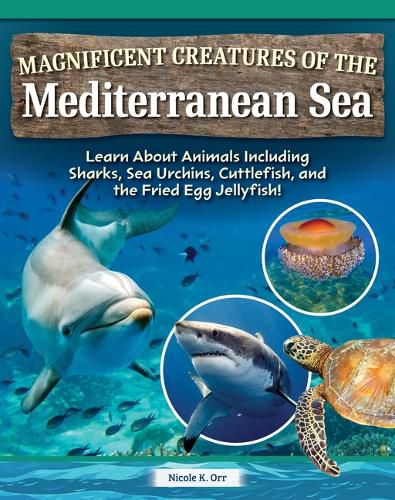 Cover image for Magnificent Creatures of the Mediterranean Sea