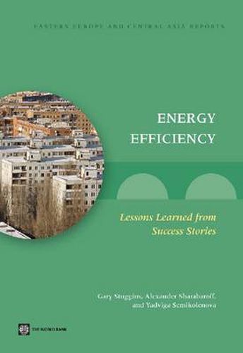 Cover image for Energy Efficiency: Lessons Learned from Success Stories
