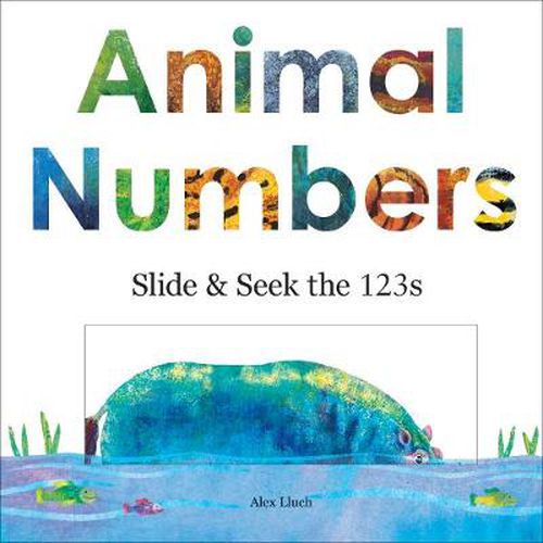 Cover image for Animal Numbers: Slide and Seek Counting