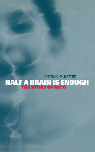 Half a Brain is Enough: The Story of Nico