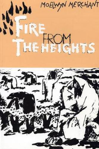 Cover image for Fire from the Heights