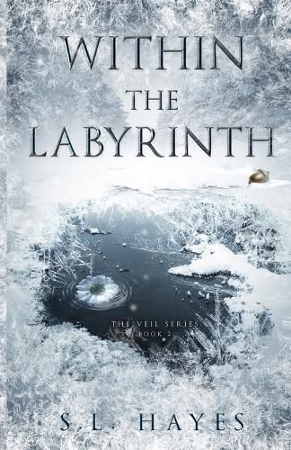 Cover image for Within the Labyrinth