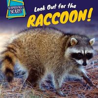 Cover image for Look Out for the Raccoon!