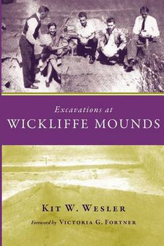 Cover image for Excavations at Wickliffe Mounds