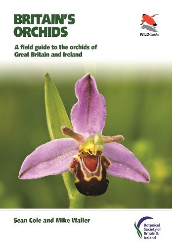 Cover image for Britain's Orchids: A Field Guide to the Orchids of Great Britain and Ireland