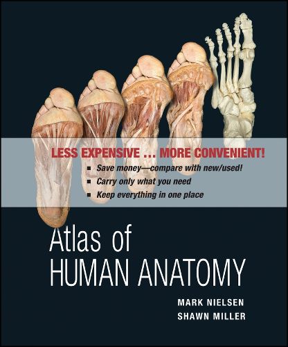 Cover image for Atlas of Human Anatomy