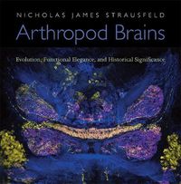 Cover image for Arthropod Brains: Evolution, Functional Elegance, and Historical Significance