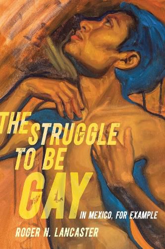 Cover image for The Struggle to Be Gay-in Mexico, for Example