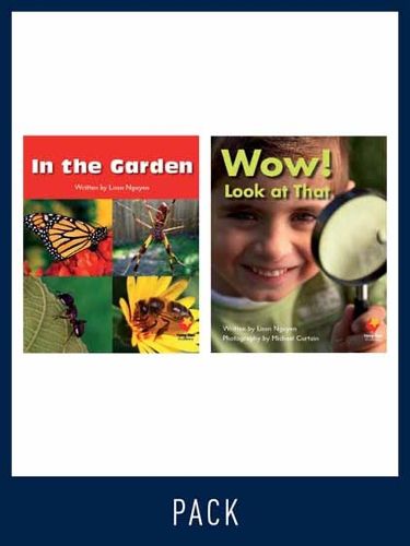 Cover image for Flying Start Guided Reading Level 1, Pack 8: Paired student books (6x6), vocabulary starter (1) and lesson plan (1)