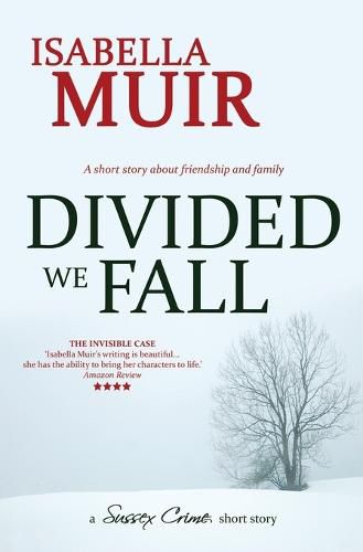 Divided We Fall: A short story about friendship and family