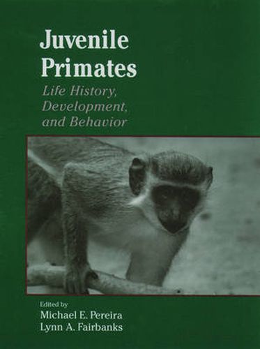 Cover image for Juvenile Primates: Life History, Development, and Behavior