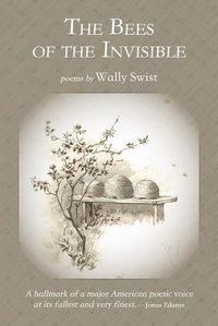 Cover image for The Bees of the Invisible