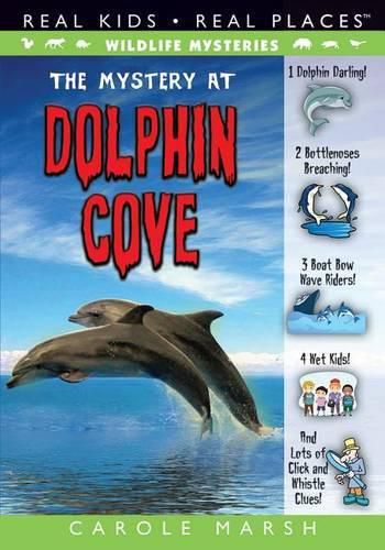 Cover image for The Mystery at Dolphin Cove