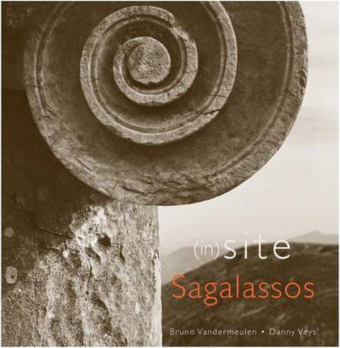 Cover image for (In)site Sagalassos