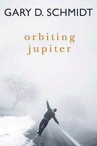 Cover image for Orbiting Jupiter