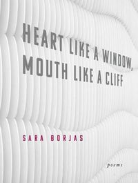 Cover image for Heart Like a Window, Mouth Like a Cliff