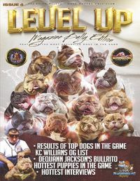 Cover image for Level Up Magazine