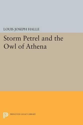 Cover image for Storm Petrel and the Owl of Athena