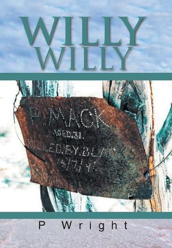 Cover image for Willy Willy