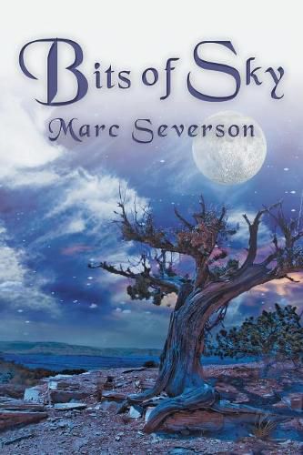 Cover image for Bits of Sky