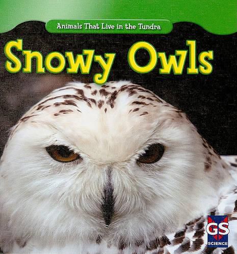 Cover image for Snowy Owls