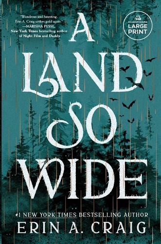 Cover image for A Land So Wide
