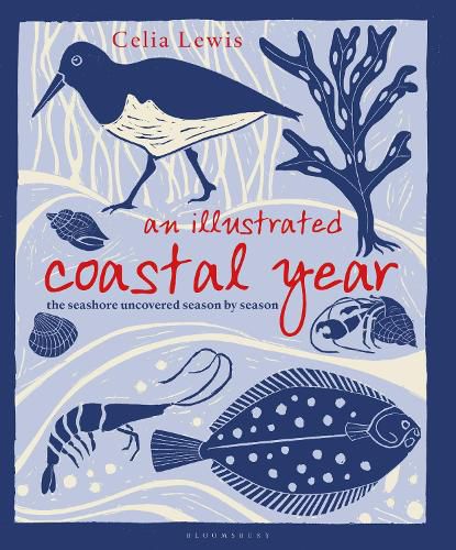 Cover image for An Illustrated Coastal Year: The seashore uncovered season by season