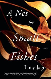 Cover image for A Net for Small Fishes