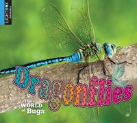 Cover image for Dragonflies