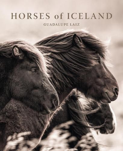Cover image for Horses of Iceland