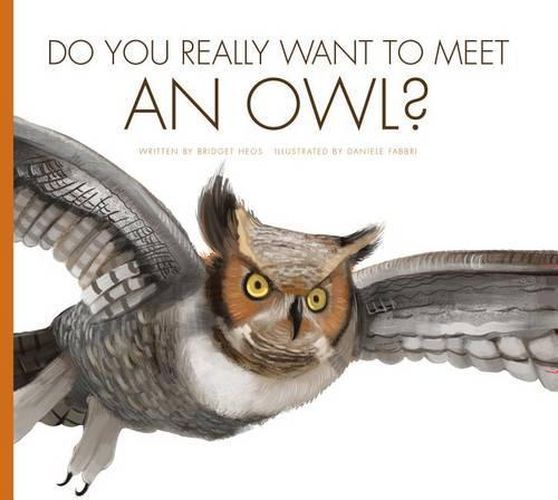 Do You Really Want to Meet an Owl?