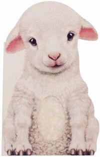 Cover image for Furry Lamb
