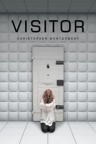 Cover image for Visitor