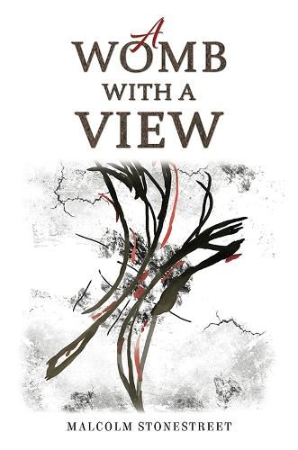 Cover image for A Womb With a View