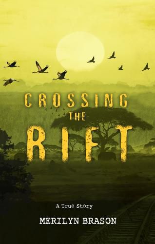 Cover image for Crossing the Rift