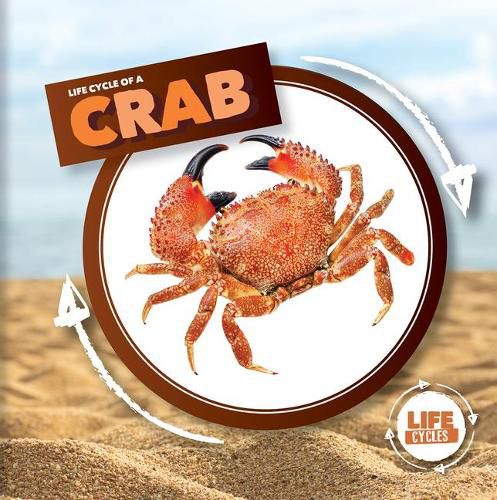 Cover image for Life Cycle of a Crab