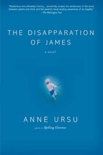 Cover image for The Disapparation of James