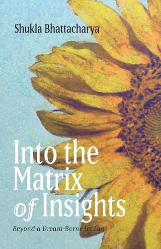 Cover image for Into the Matrix of Insights