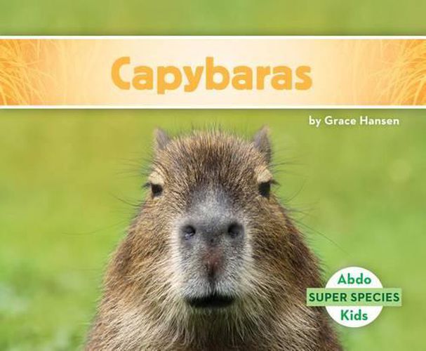 Cover image for Capybaras