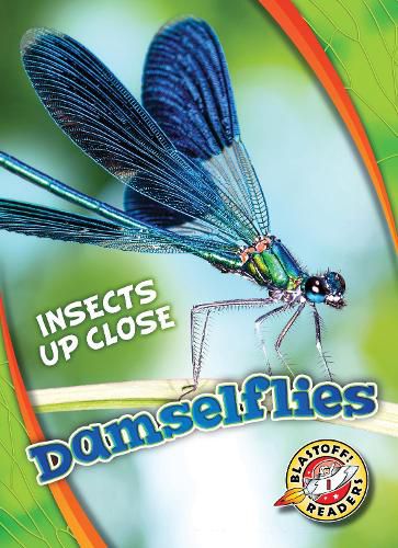 Damselflies